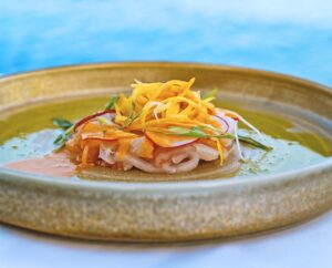 fresh cevice with marinated fish,lime, ognions,cilantro and chili sclices served on a abrown plate